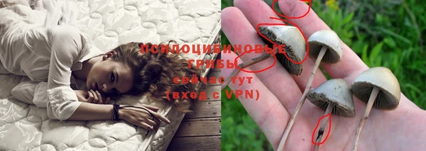 спайс Арсеньев