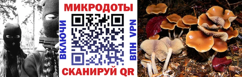 Псилоцибиновые грибы Psilocybine cubensis  Купить  Кандалакша 